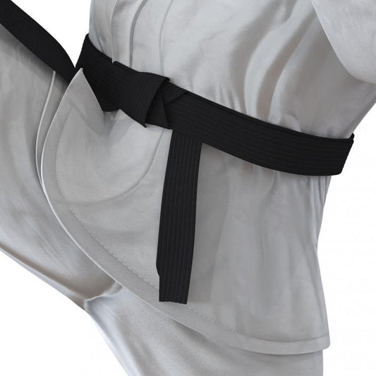 Customized Martial Arts belt